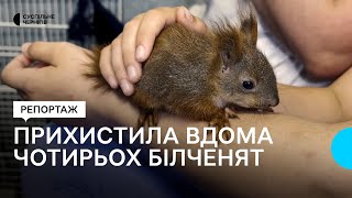 "Вони як діти": зооволонтерка із Прилук, що на Чернігівщині, прихистила чотирьох білченят