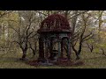 Unleash Your Creativity Part 4 Ivy generator in Blender