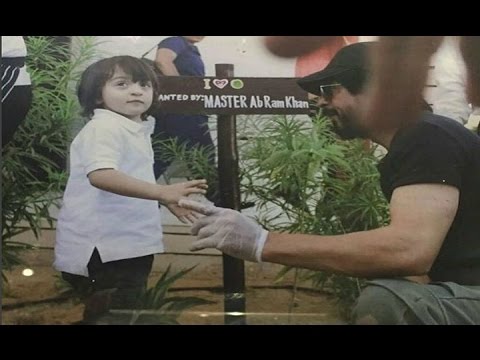 Shahrukh Khan Planting Tress With AbRam videos for cats