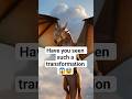Epic Transformation: #viral  #trending #fish #dragon
