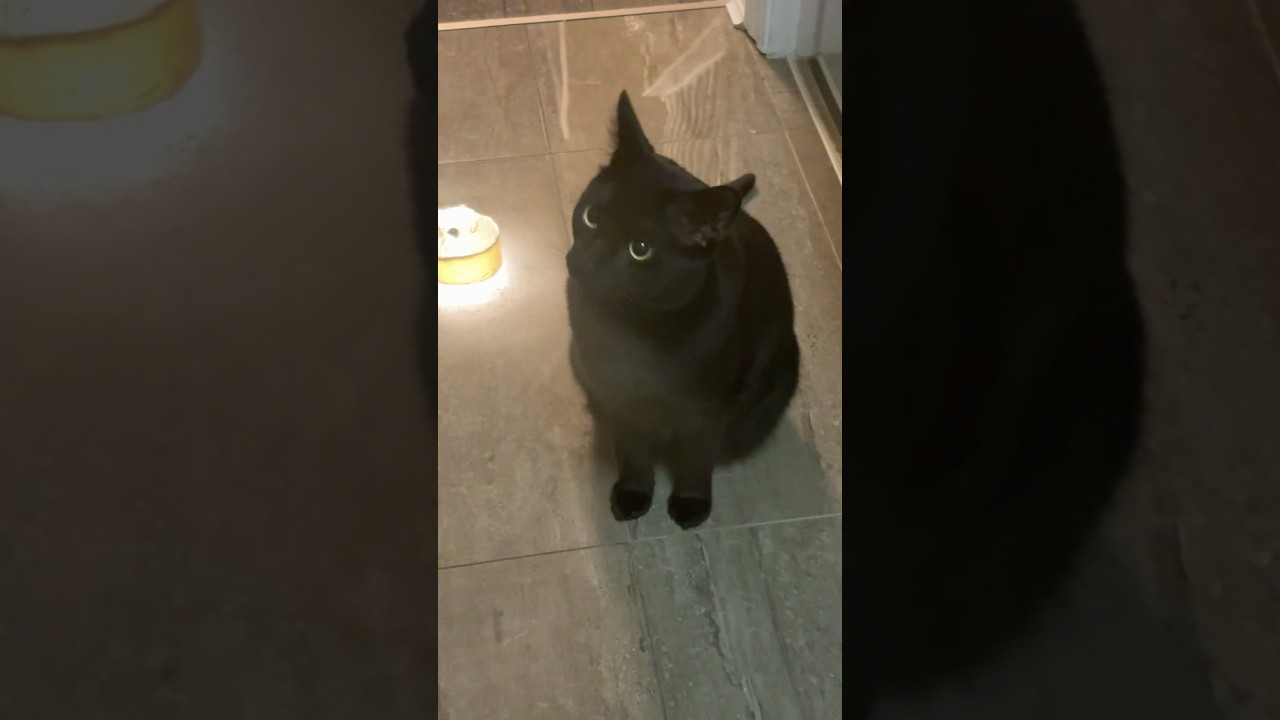 Нерон ждёт меня❗️ 