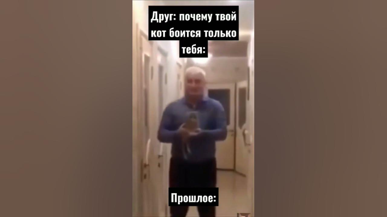 Что стало с киселечком котом из мема