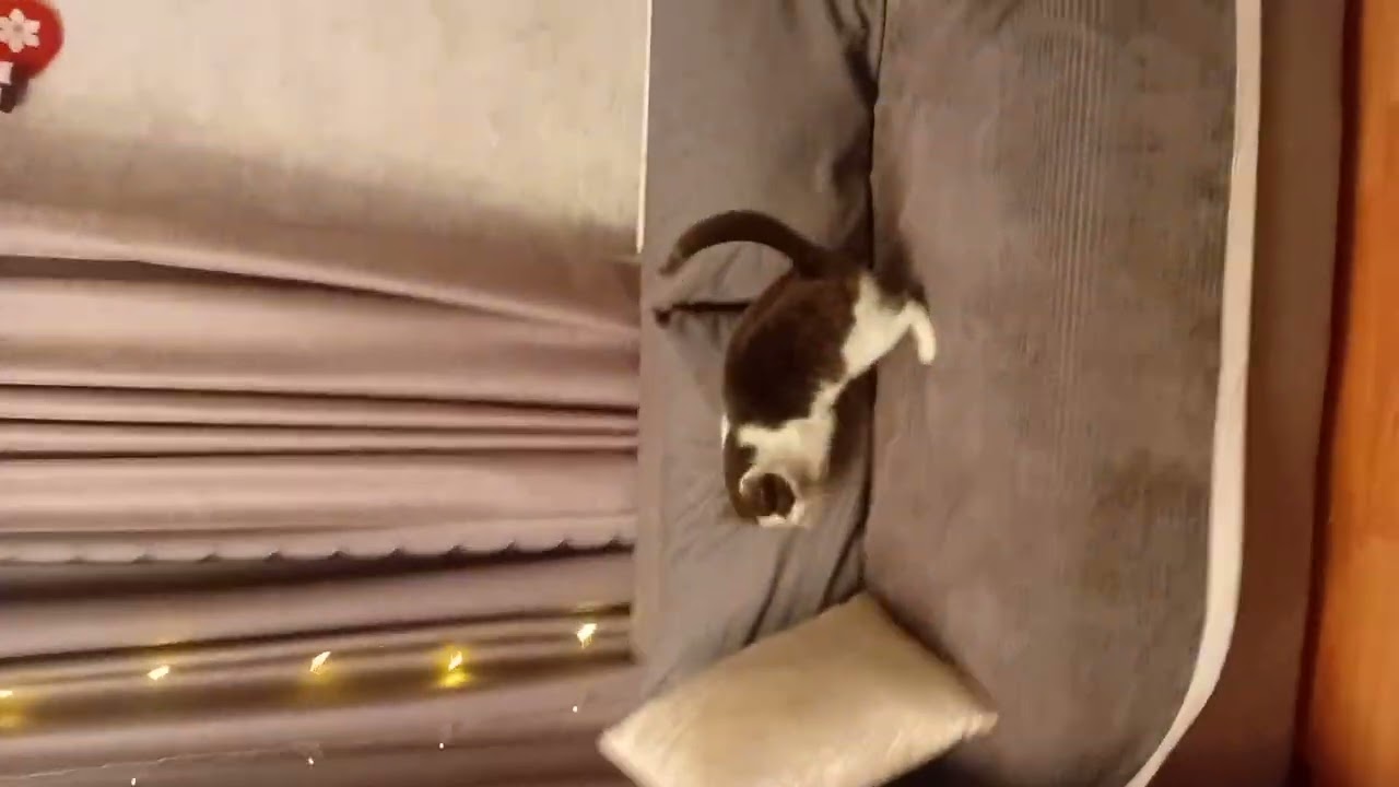 Сегодня мы будем играть  и да 2 части будет 