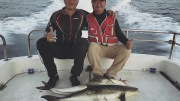 Câu Cá Côn Đảo 2017 - Cá Khủng ... khiếp P2