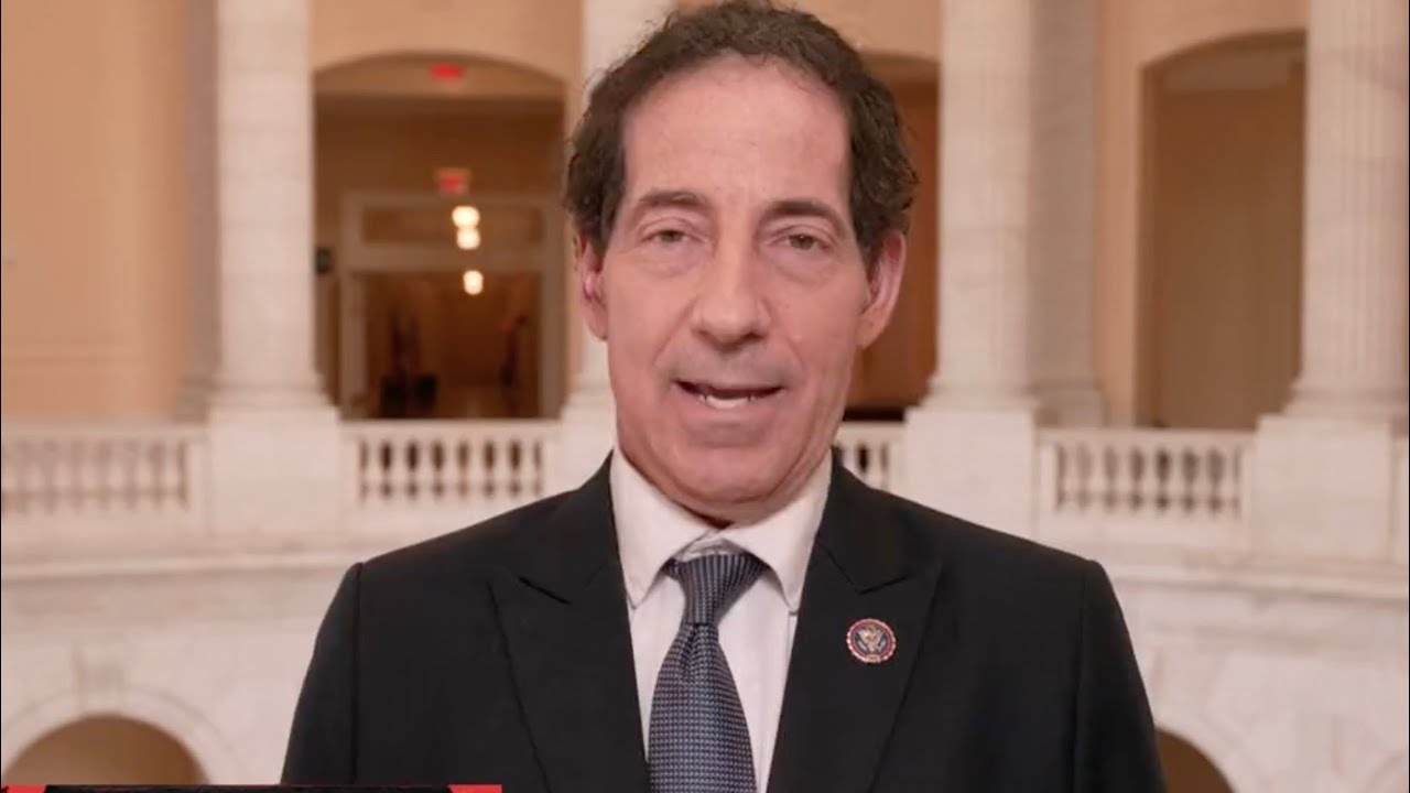 Jamie Raskin SMACKS DOWN Trump in brilliant takedown