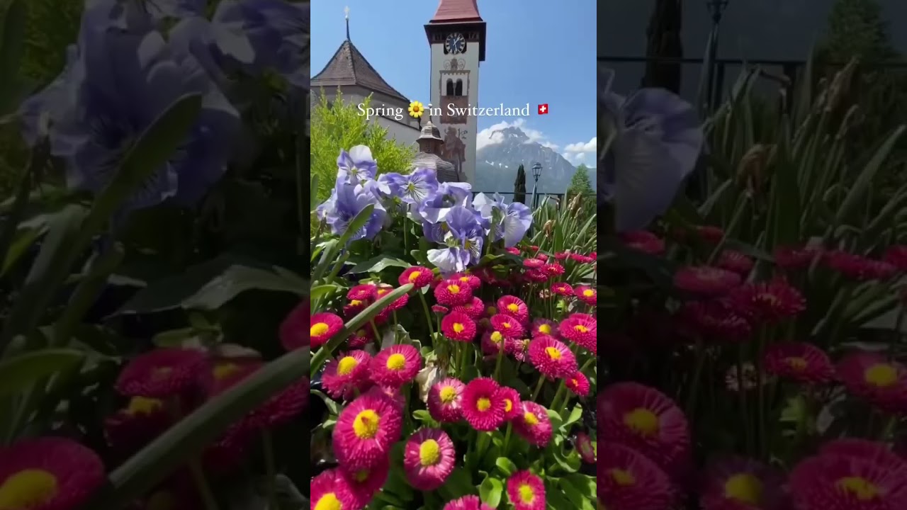 Happy first day of spring 🌼 A magical season in 🇨🇭 