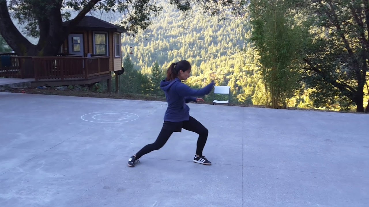 Taijiquan: Part 2 Fast