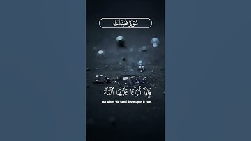 آيات من سورة فُصلت •• بأعذب الأصوات #ترند_تيك_توك #اكسبلور #قران_كريم #آيات