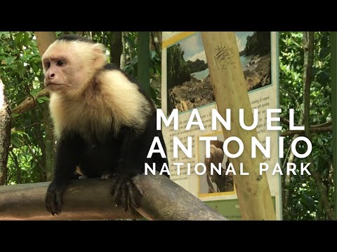 Video: Manuel Antonio National Park, Costa Rica: Eine Million Touristen, Tausend Affen Und Viel Fäkalien - Matador Network