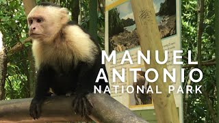 Costa Rica's Manuel Antonio National Park (4K)