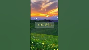 سورة الغاشية من الآية ١٤ إلى الآية ٢٦#سعد_الغامدي #quran #قران_كريم #متابعة #اكسبلور #لايك
