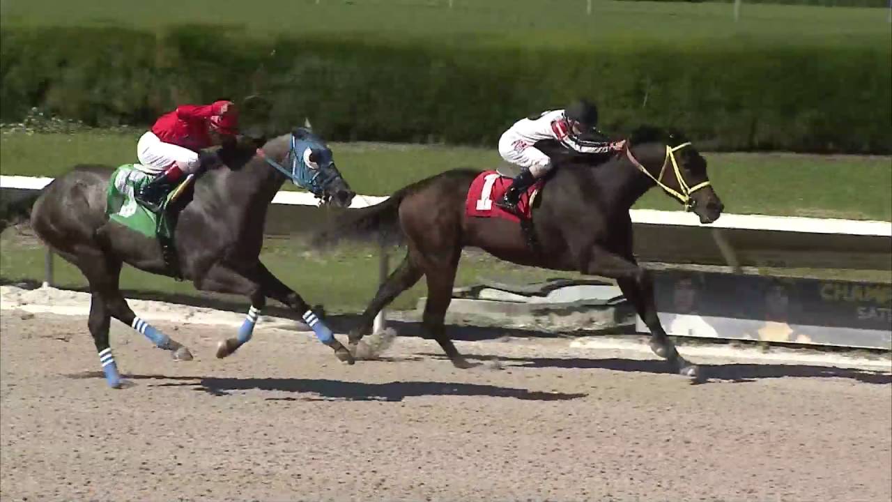 Gulfstream Park Replay Show | October 22, 2016