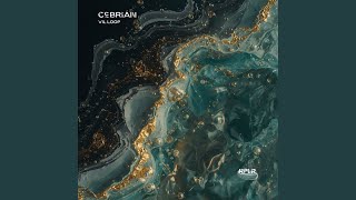 Details VIL LOOP 5 (Original Mix) Guide