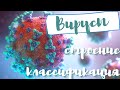 Вирусы | Строение нуклеокапсида | Типы симметрии | Микробиология