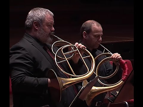 Handel - Sarabande in D minor (wonderful live version) Copernicus Chamber Orchestra · Horst Sohm