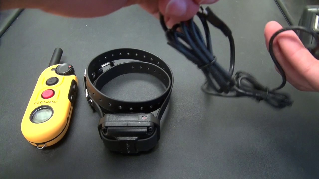 k9 connection training collar