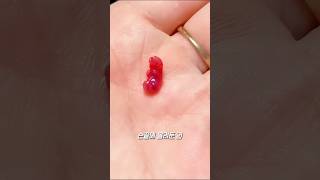사탕인 줄 알았던 이 '젤리'의 반전