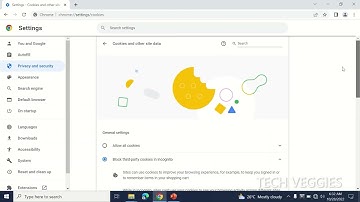 How to Manage your Browser Privacy & Security Settings in Google Chrome | Tech Veggies