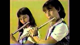 Carlos Romero Barcelo Gobernador 1984 Education