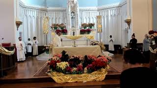 St. Katharine Drexel Parish Boston - Feast of the Baptism of the Lord - 1/11/26