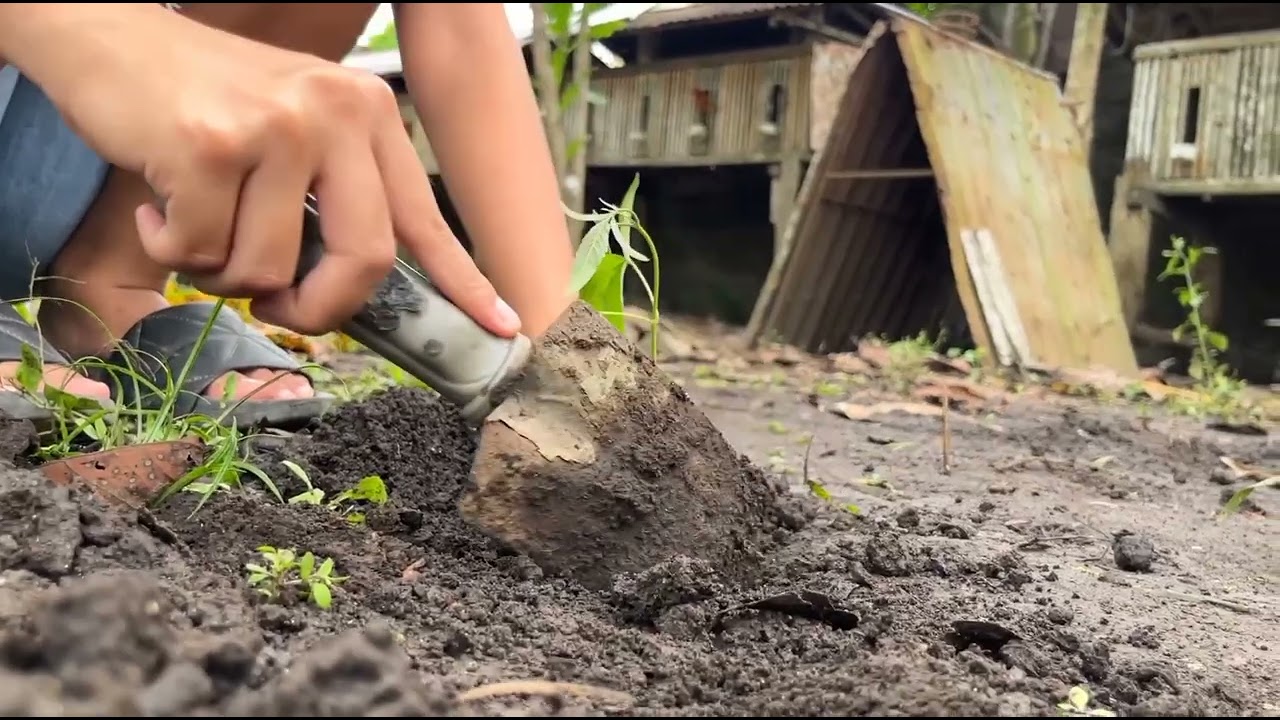 One student, One tree, One step towards a greener future. 