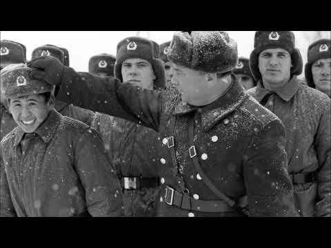 Как появилась дедовщина в советской армии