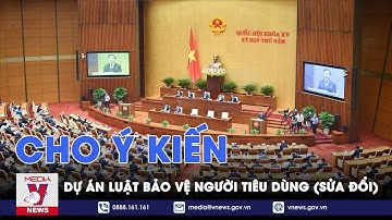 Cho ý kiến dự án Luật Bảo vệ người tiêu dùng (sửa đổi) - VNEWS