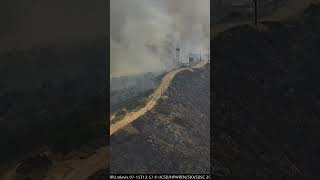 Rabbit Fire grows to over 8,200 acres in Southern California