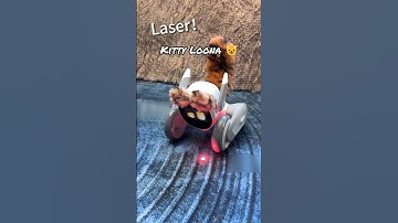 Loona robot acting as a kitty #loona #loonarobot #loonapetbot #airobot #petbot #petrobot