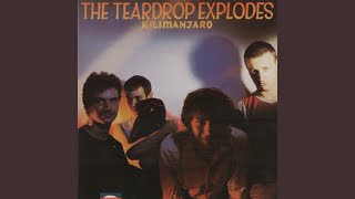 Video thumbnail of "The Teardrop Explodes - Poppies In The Field"