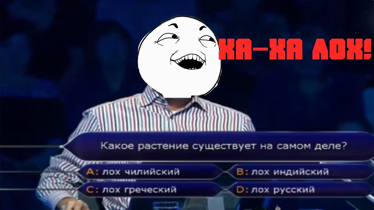 растение лох чилийский. Elaeagnus macrophylla. лох индийский растение. какое растение существует лох чилийский. Elaeagnus pungens.