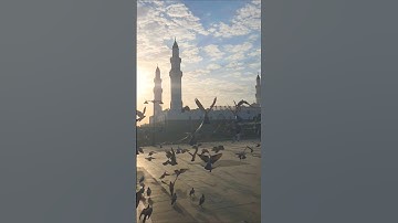 Quba Mosque:the first house of worship built on piety.where the Prophet Walked Madinah #quba