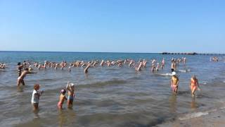 гостиница маяк Заозерное