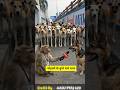 mohalle_ke_kutte_chale_thana_#viral_#trending_#funny_#comedy_#munnareporter_#shorts_#reel_#dogesh_#m