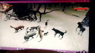 Swamp iron Wolf quest single mother