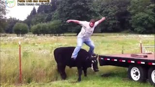 Bikin Ketawa, Ada SajaTingkah Lucu Hewan dan Manusia  There are funny behavior of animals and humans