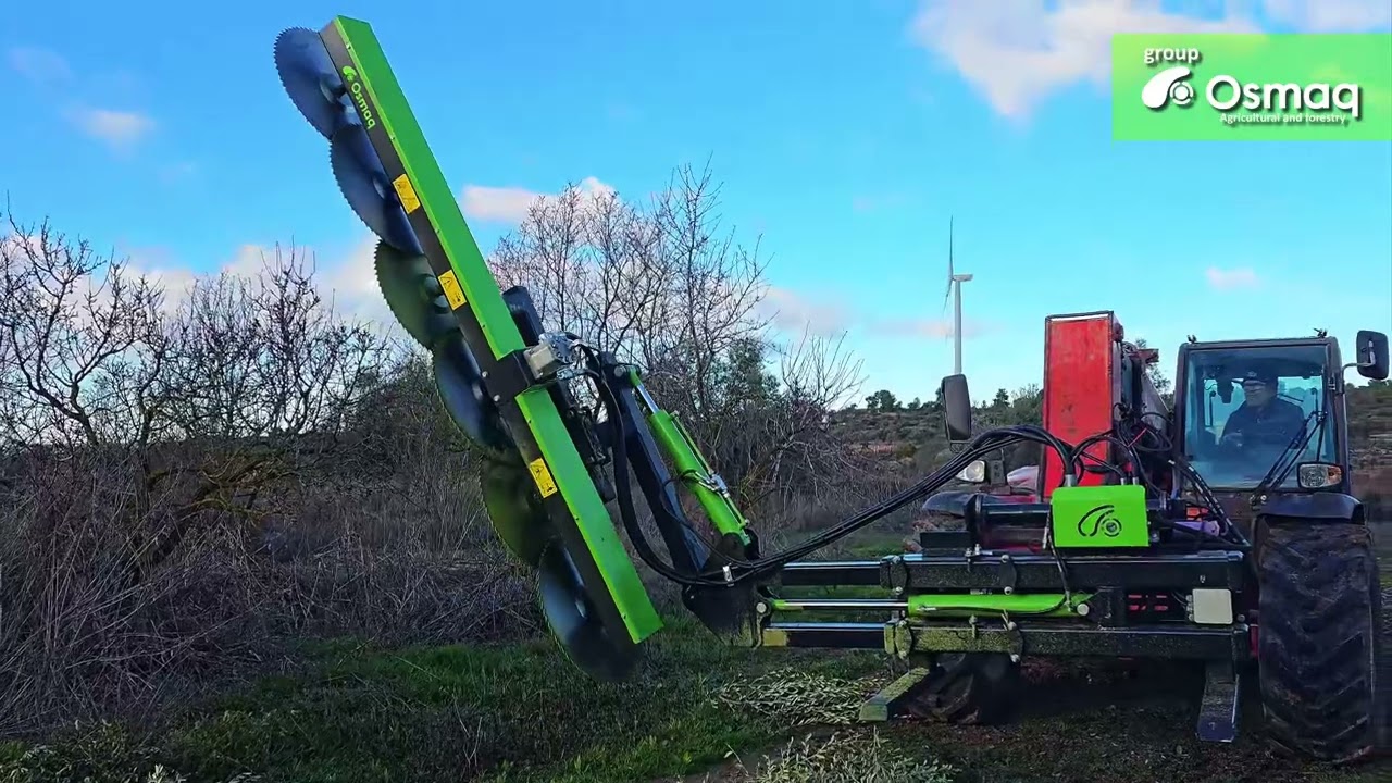 Prepodadora trabajando en olivos