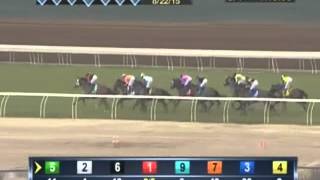 2015 Del Mar Handicap - Big John B