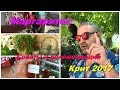 Крит 2017 Маргаритес - деревня гончаров Монастырь Христа Спасителя и Святого Гедеона