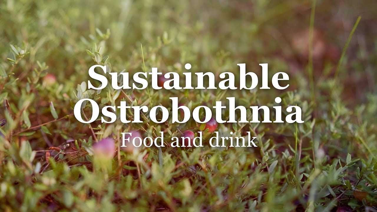 Sustainable Ostrobothnia - Local food and beverages