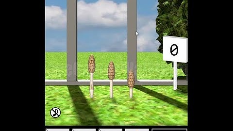 Escape Challenge #157 Room with horsetail Walkthrough [tomoLaSiDo]