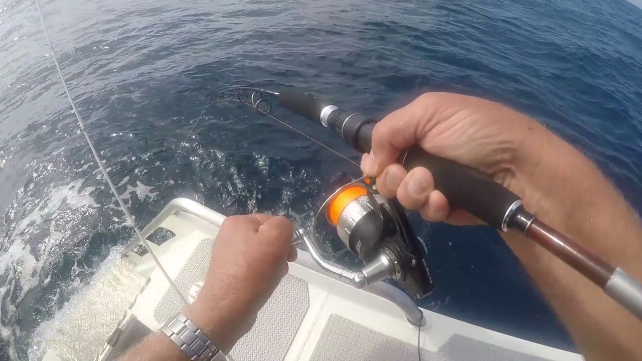 Crucis Elite Empire SP541 Fishing Rod - YouTube
