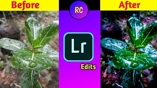 [Hindi] 🌳How to edit Nature photos like Pro || Part-2 || Lightroom Editing || Raktim Chakraborty screenshot 5