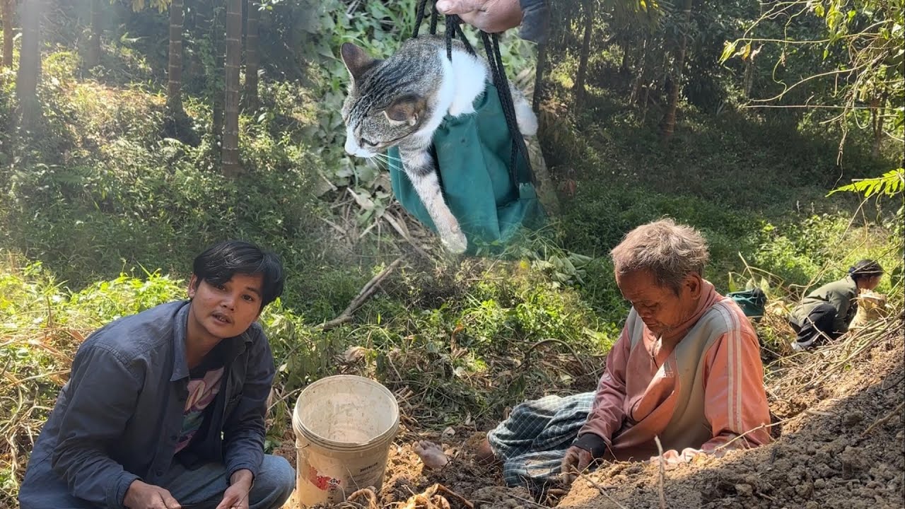 ภารกิจใหญ่”ไปช่วยครอบครัวในป่าลึก พร้อมช่วยสหายแมวกลับมาอย่างปลอดภัย