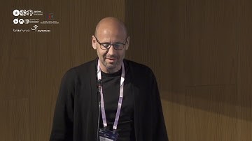 Cross-species network theory measures of mesoscopic brain-wide functional integrity in aging