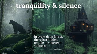Tranquility & Silence | Minimal Piano Ambient for Deep Calm and Focus 🌲✨