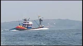 Ratnagiri Full Fishing | Tarli Fish Full Loaded Boat | 1800 BOXES Fish