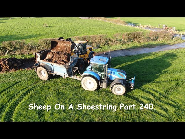 Sheep On A Shoestring Part 240. - YouTube