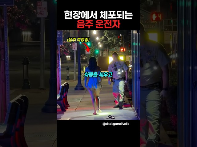 현장에서 체포되는 음주 운전자