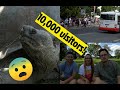 How to get to Prague ZOO/ the busiest we have EVER seen it!